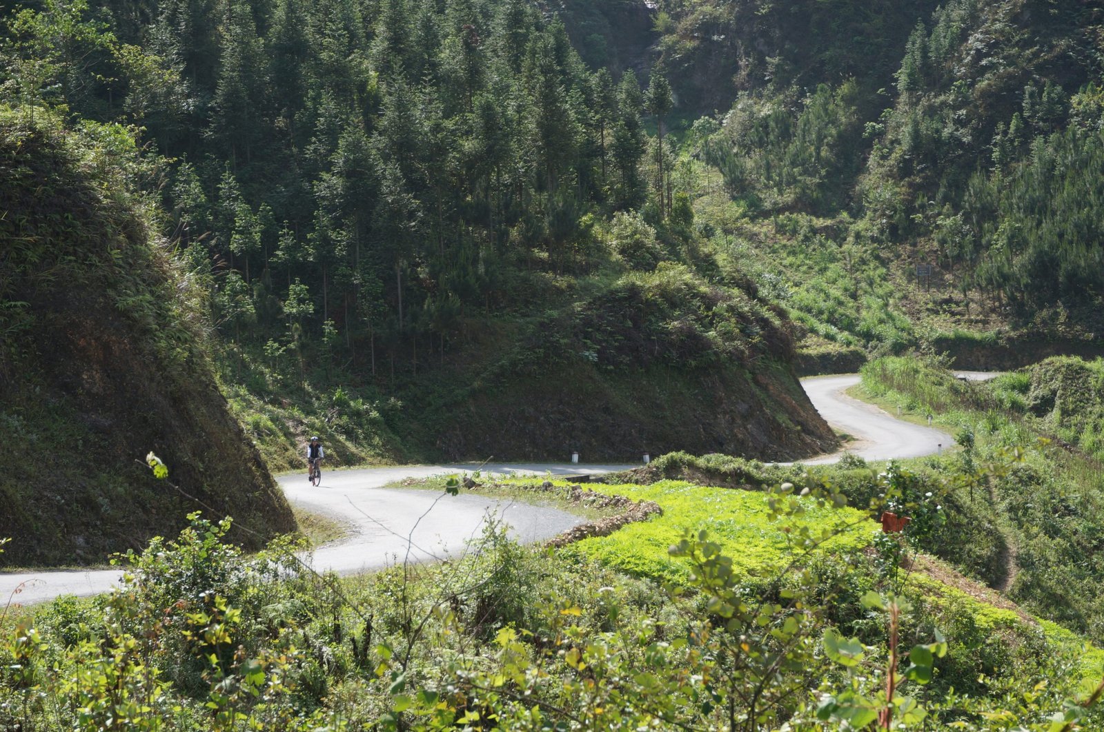10-Day Ha Giang Loop & Hoang Su Phi Cycling Adventure